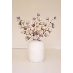 Botanica #2297 2