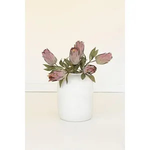 botanica #9032 3