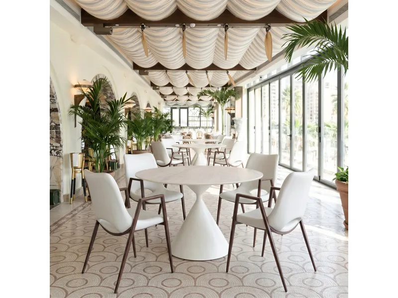 Desi Dining Chair White & Walnut 8