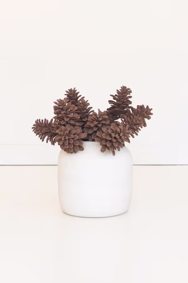 Botanica #9069
