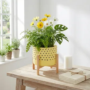COLECREST YELLOW PLANTER 9 (IN) 12