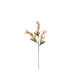 botanica #9039 3