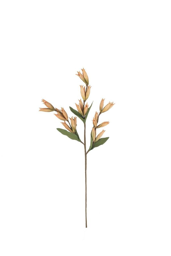 botanica #9039