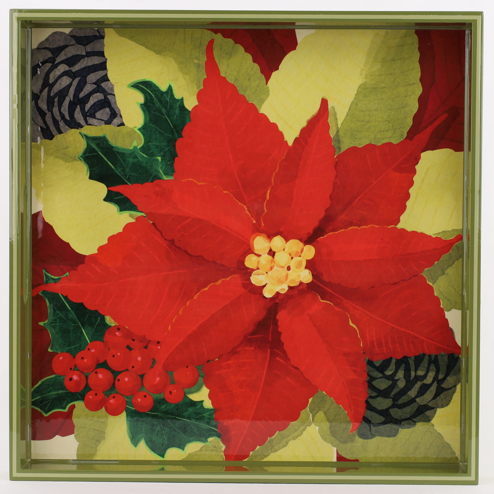 Poinsettia