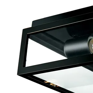 Capture 12'' Wide 2-Light Outdoor Flush Mount - Matte Black 3