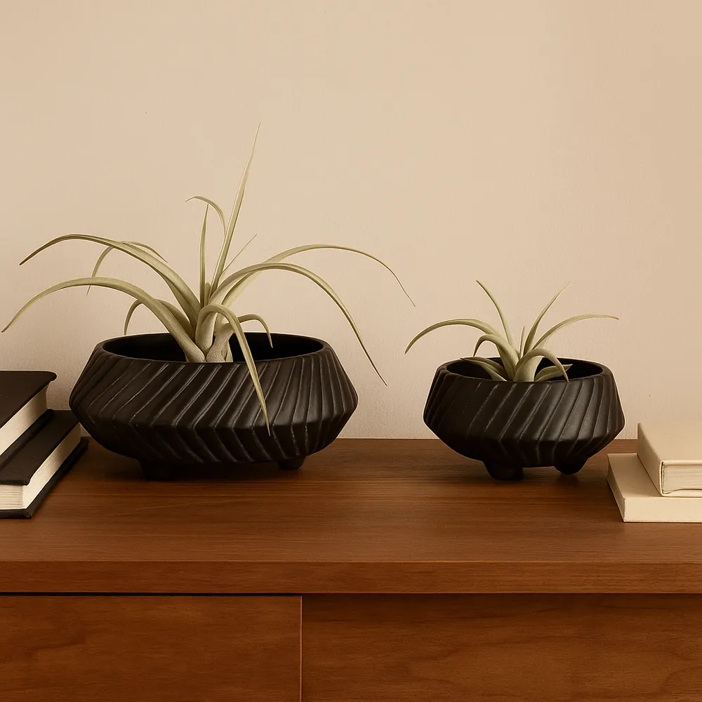 GILBERTRUN SET OF 2 BLACK BOWLS 6 (IN)