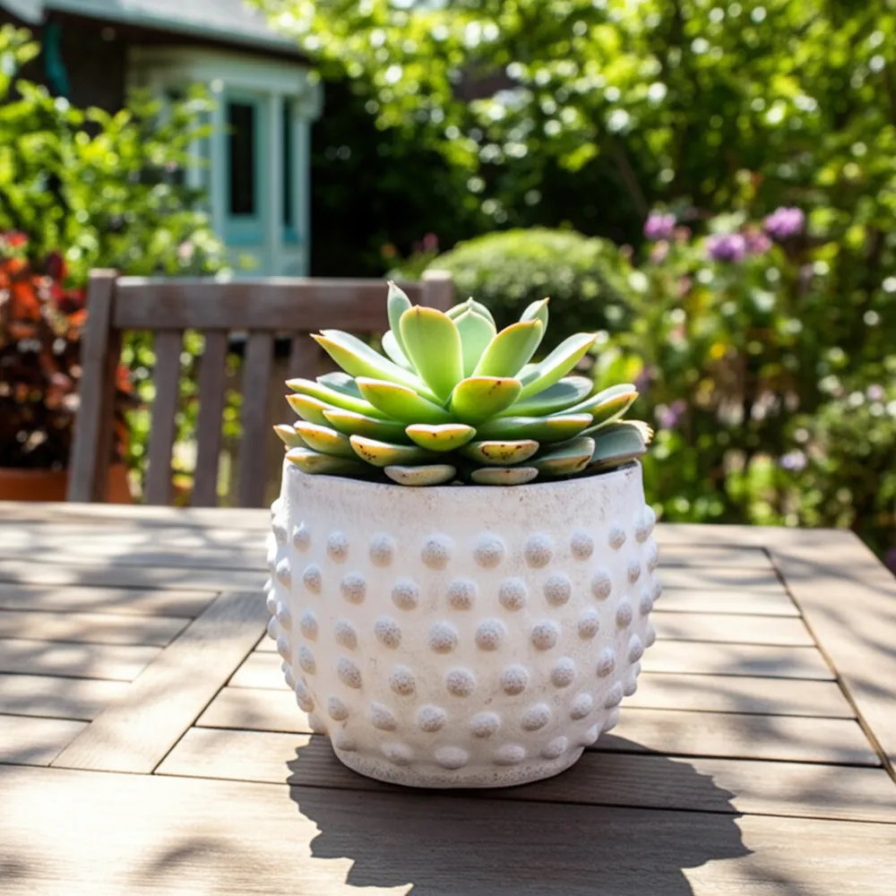 BLAIRPARK WHITE PLANTER 5 (IN)
