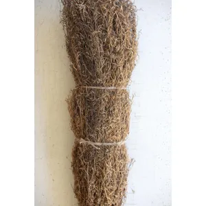 Lanka Tree Branch Bundle 2