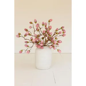 Botanica #3572 1
