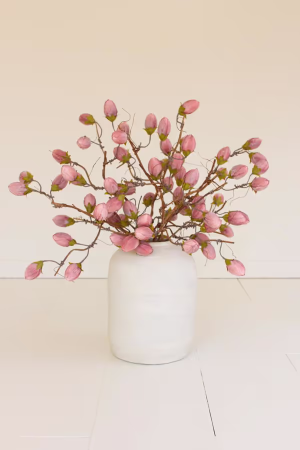 Botanica #3572