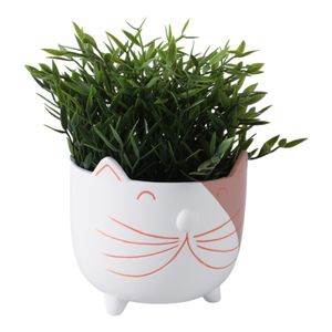 GRISHAMSIDE WHITE PLANTER 6 (IN) 3