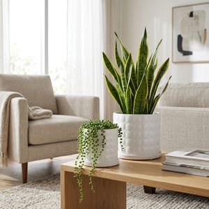NICOLEMOOR SET OF 2 WHITE PLANTER 7 (IN) 11