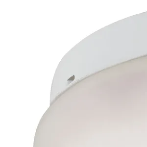 Elowen 10'' Wide 2-Light Flush Mount - White 3