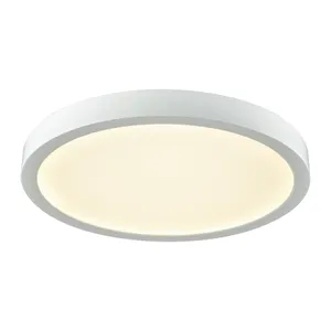 Titan 10'' Wide Integrated LED Down Light - White 1