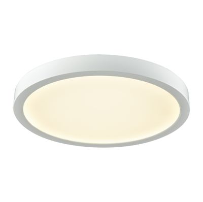 Titan 10'' Wide Integrated LED Down Light - White