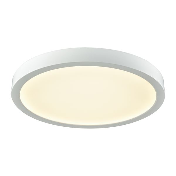 Titan 10'' Wide Integrated LED Down Light - White
