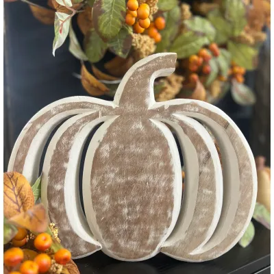 Whitewashed Pumpkin Sitter 12x10in