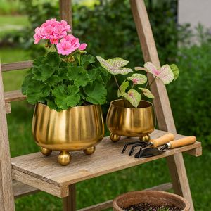 ALBAFIELD SET OF 2 GOLD PLANTER 9 (IN) 10