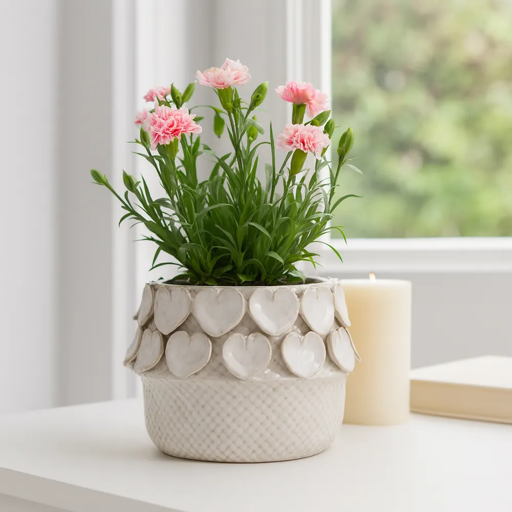 FALLONRUN IVORY PLANTER 8 (IN)