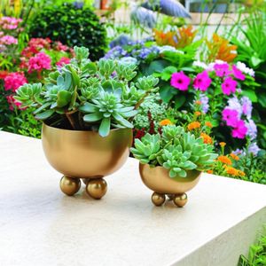 SLATEOAK SET OF 2 GOLD PLANTER 10 (IN) 11