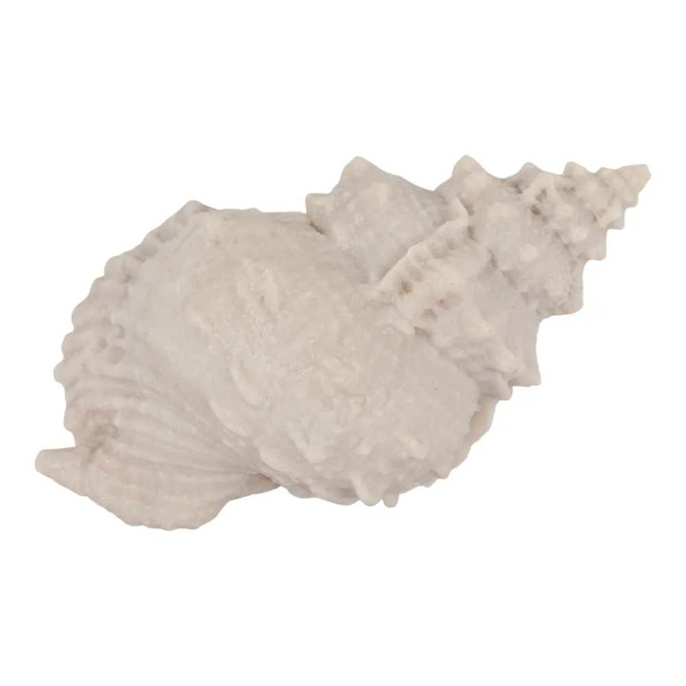 HANKOAK TAN DECOR 5 (IN)