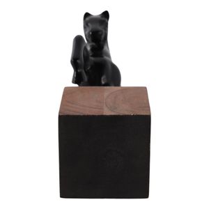 DRAYTONGATE BLACK DECOR 12 (IN) 8
