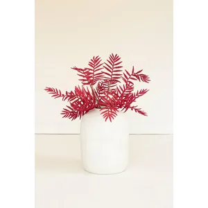 botanica #9046 1
