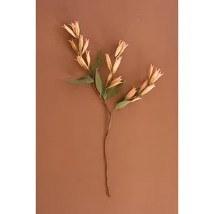 botanica #9039 4