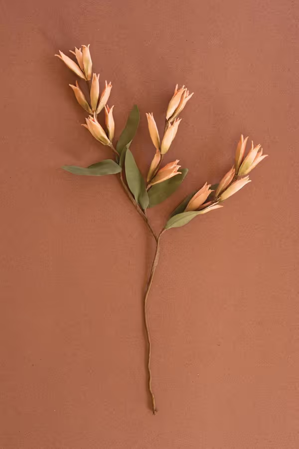 botanica #9039