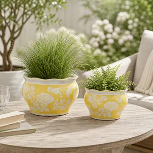 HENLEYDALE SET OF 2 YELLOW PLANTER 5 (IN) 12