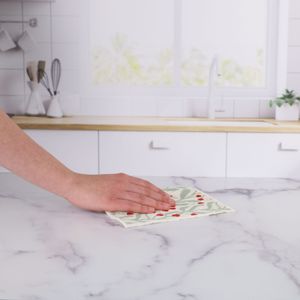 Fir Tree blu Eco Sponge Cloths (Set of 2) 4