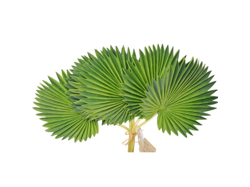 17IN LEAF BUNDLE X6 3