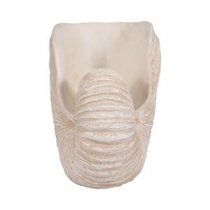SELBYBEACH IVORY DECOR 14 (IN) 5
