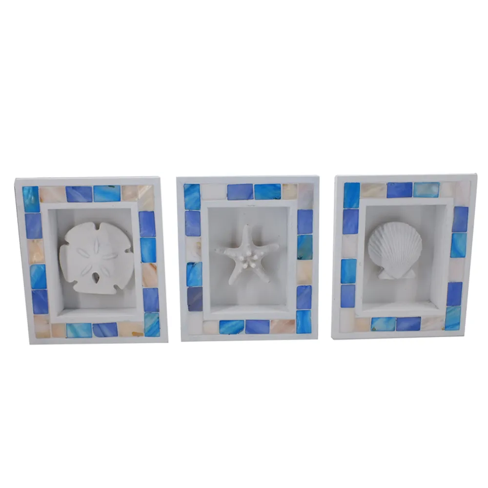 6-1/2" COASTAL FRAMES 3-ASST