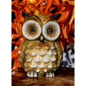 Hoots 5x4x7in 1