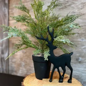 Small Sprakle Cedar Tree 16in 1