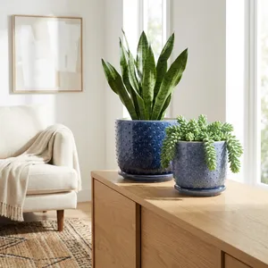 FIONAOAK SET OF 2 PLANTER 7 (IN) 12