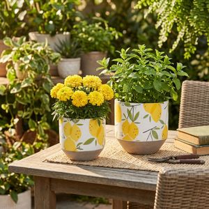 HATCHERGATE SET OF 2 YELLOW PLANTER 7 (IN) 10