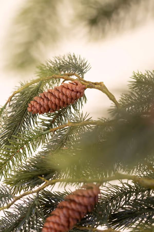 Artificial Fir Spray with Cones