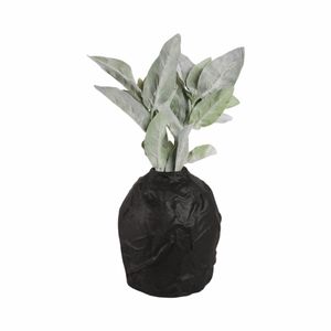 AXELLEY BLACK VASE 9 (IN) 3