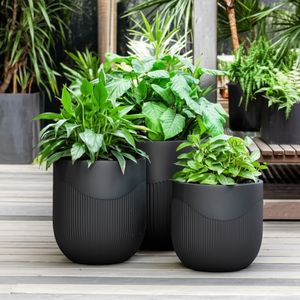 TODDCLIFF SET OF 3 BLACK PLANTER 16 (IN) 12