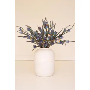Botanica #3384 2