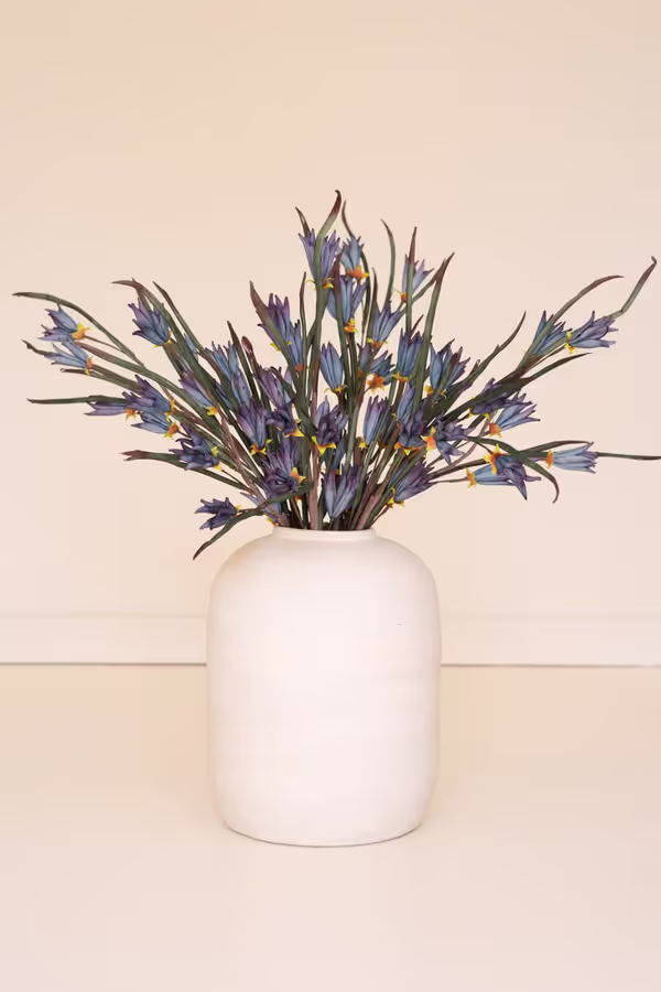 Botanica #3384