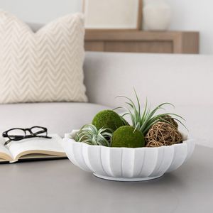FINTONWIND WHITE TRAY 4 (IN) 10