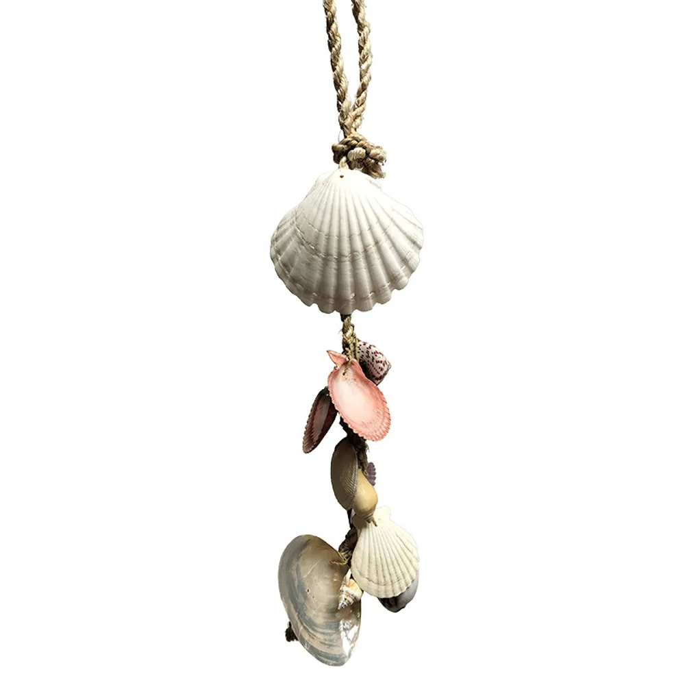 19" SHELL CLUSTER