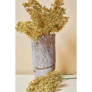 Honey Grain Cluster 24in 1