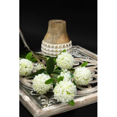 White Allium 31in