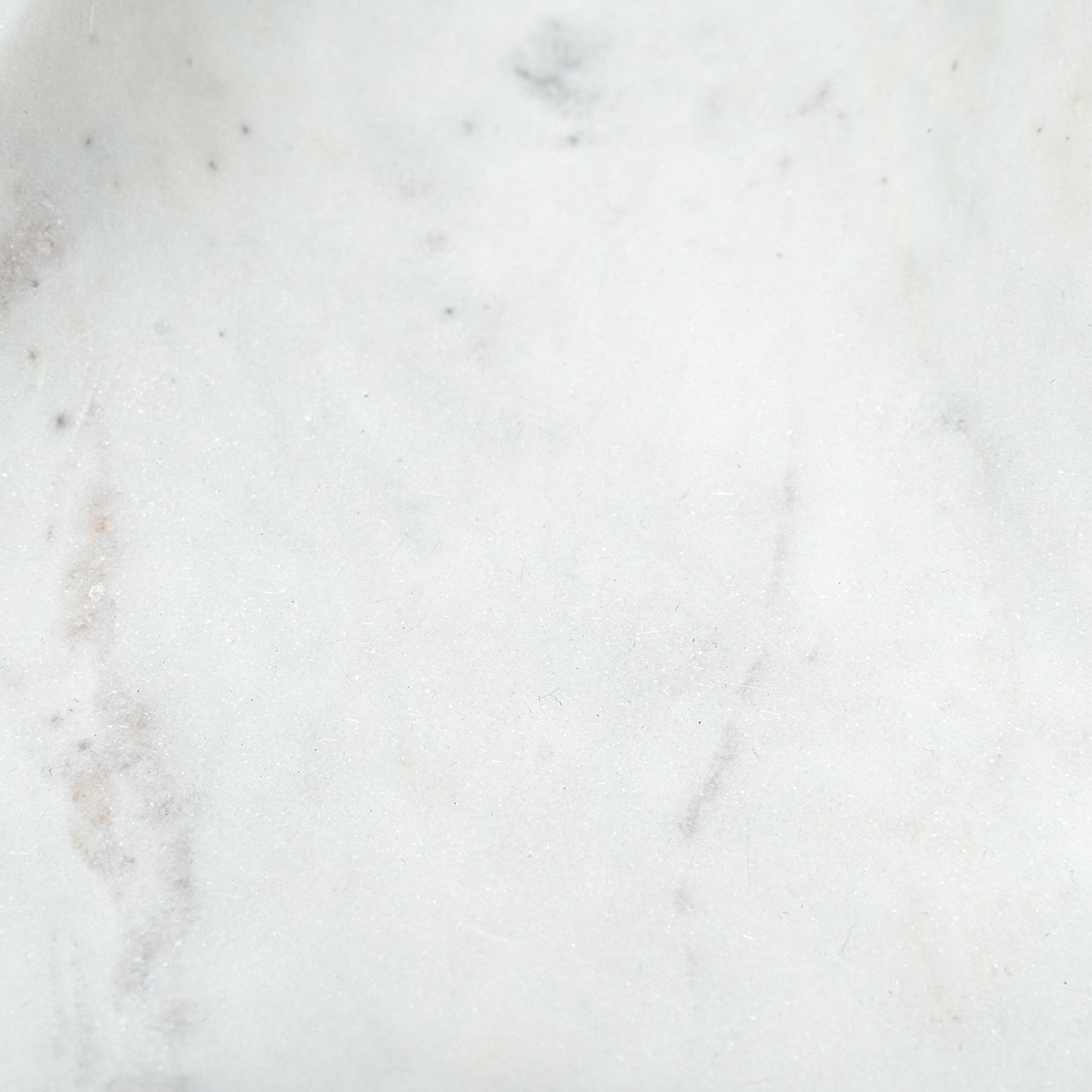 Octora Tray 6