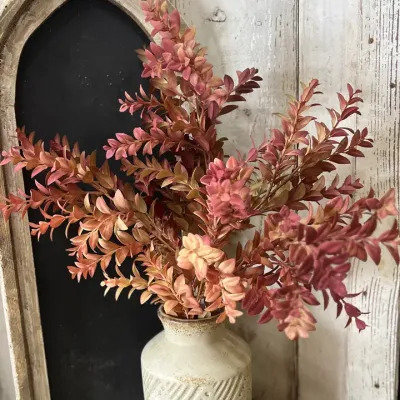 Rose Tan Boxwood
