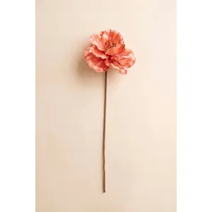 Botanica #9074 3